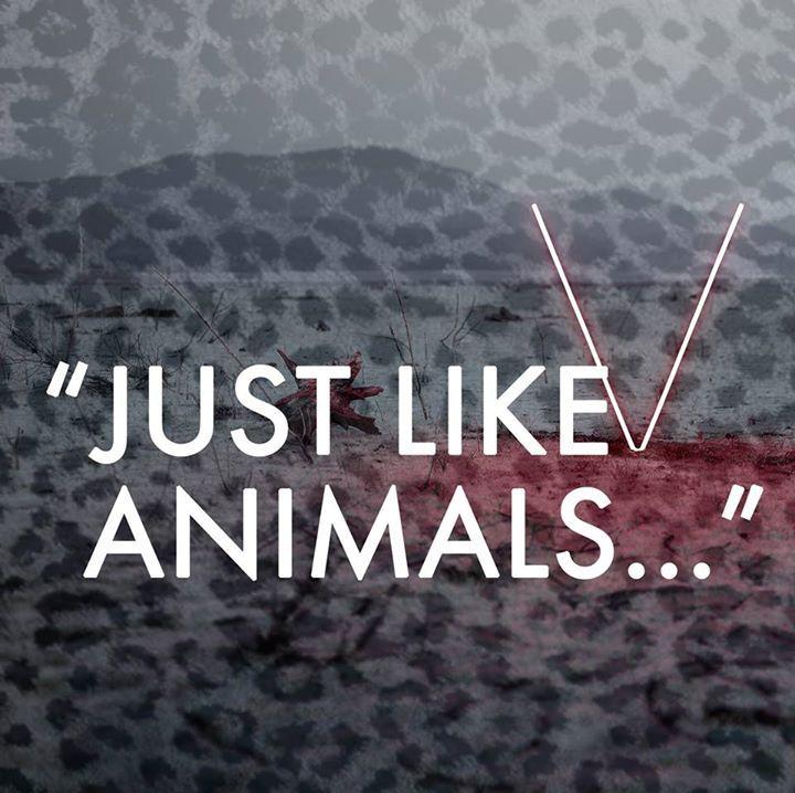 Animals Animals