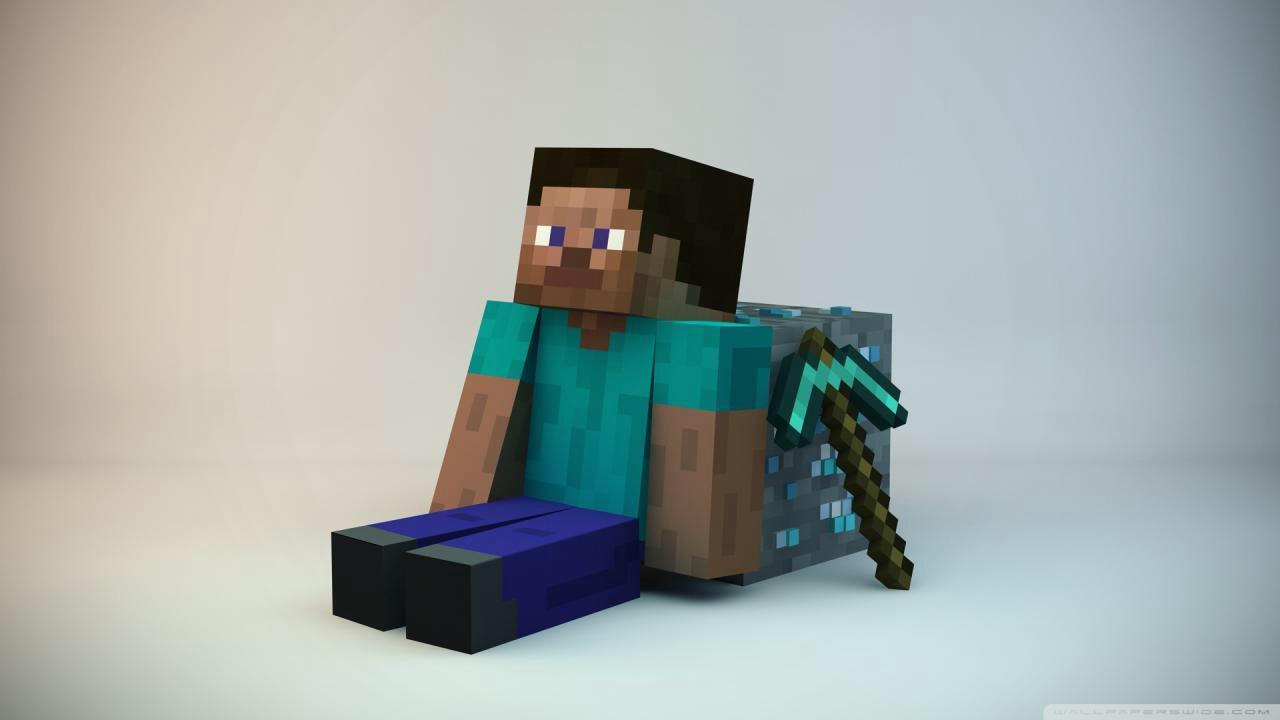 Steve from minecraft