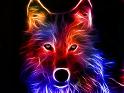 cool wolf