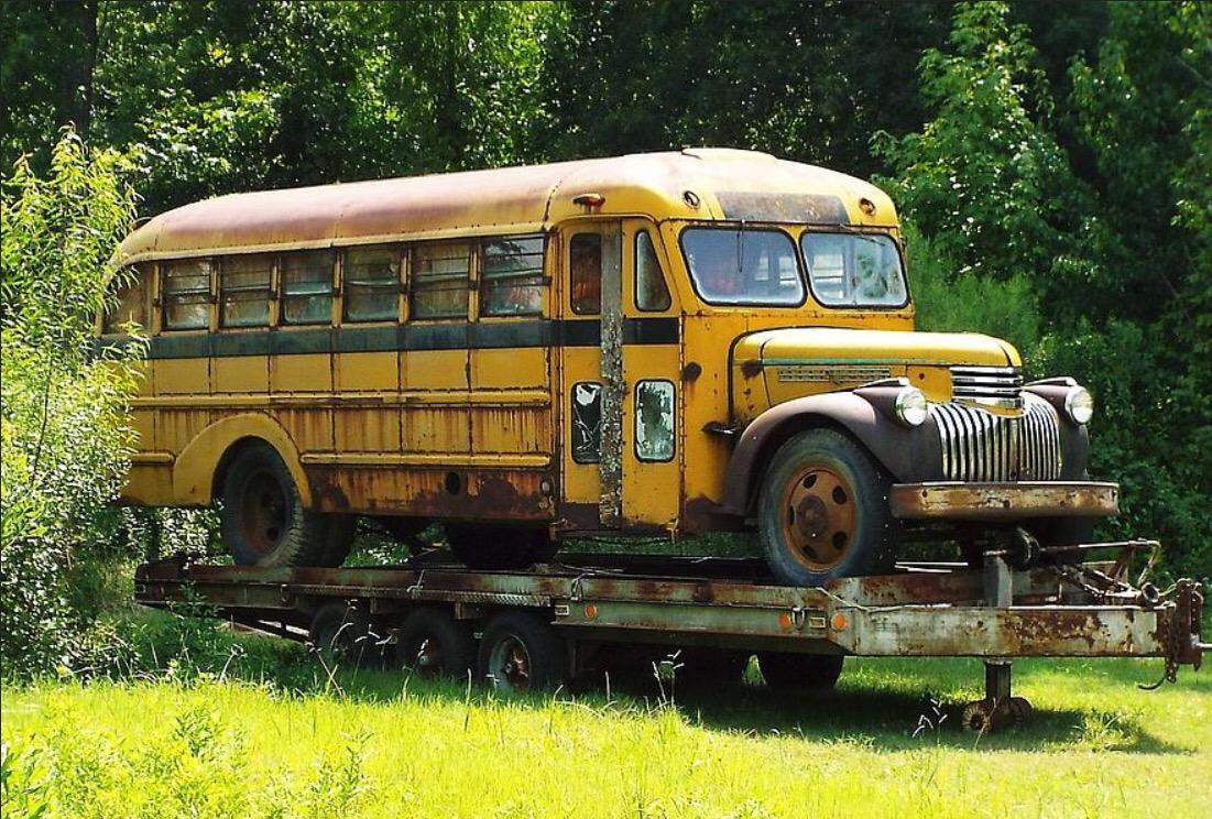 Bus