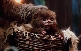 Random ewoks! Random ewoks!