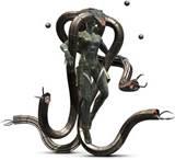 Laughing octopus Laughing octopus