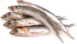 Anchovies, like bruh! Anchovies, like bruh!