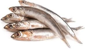 Anchovies, like bruh!