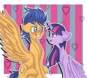 Twilight sentry (Twilight sparkle & Flash sentry)