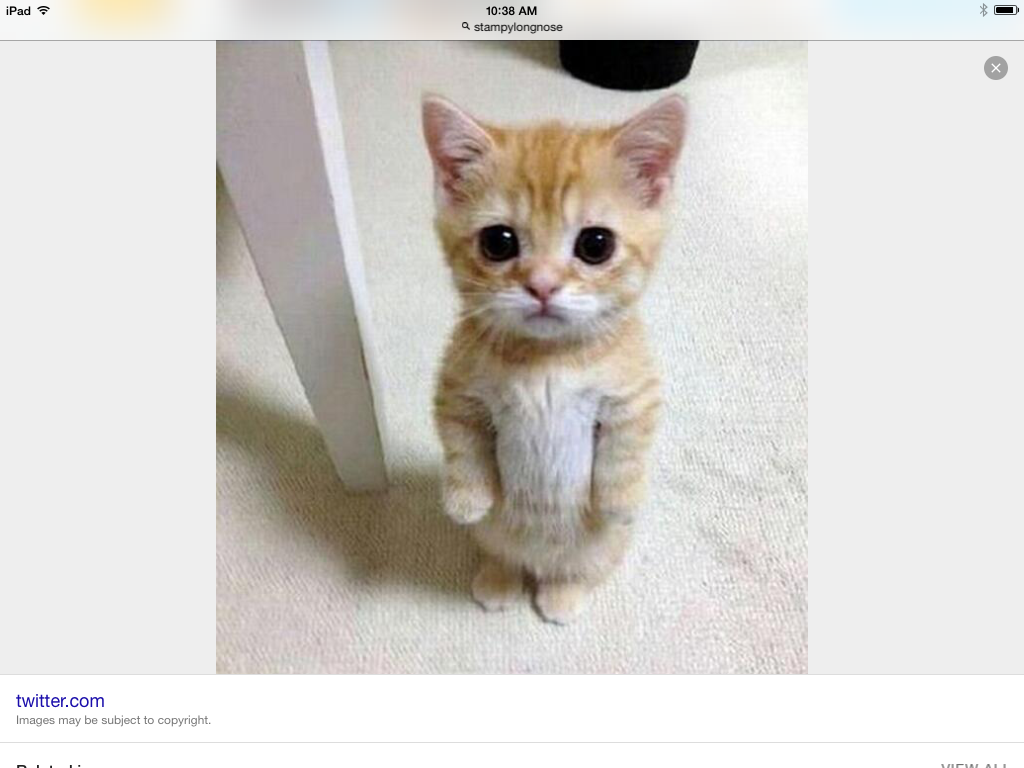 SAD. ;-( SAD. ;-(