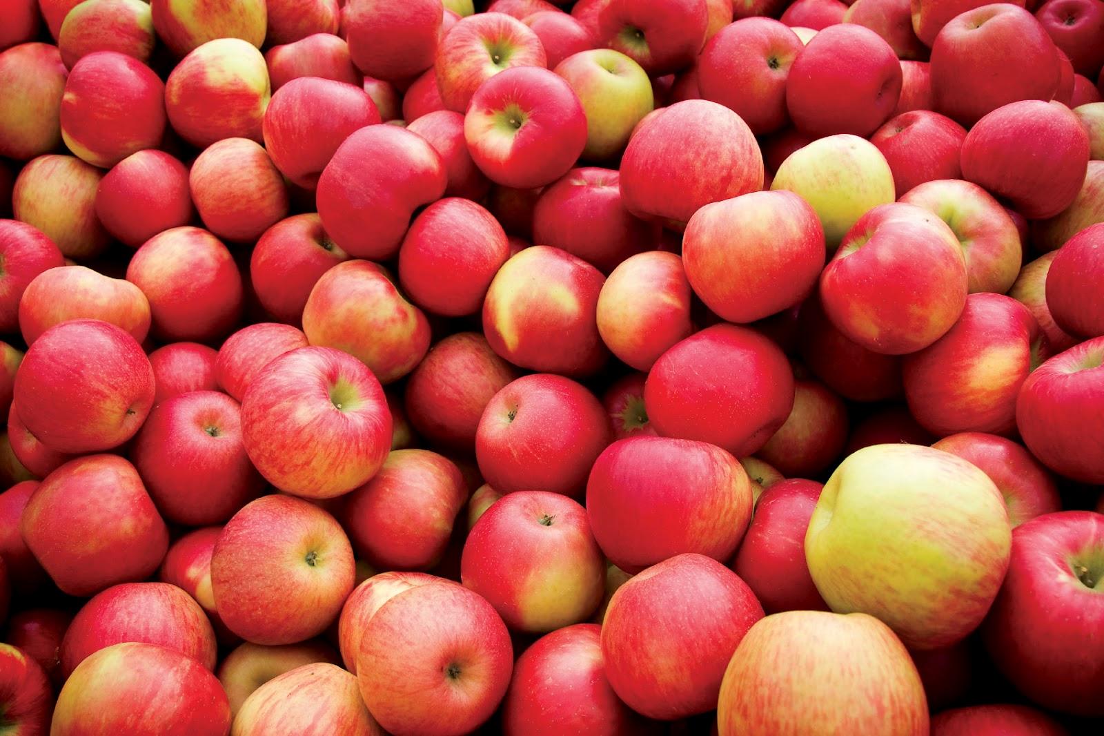 Apples Apples