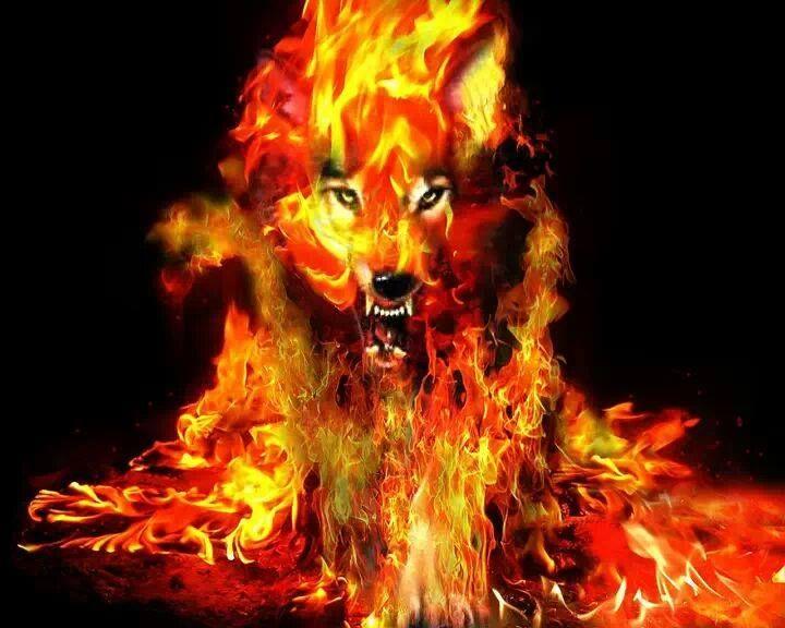 Fire Wolf