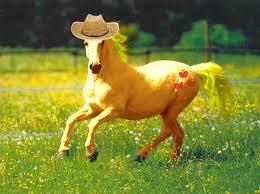 Applejack real horse Applejack real horse