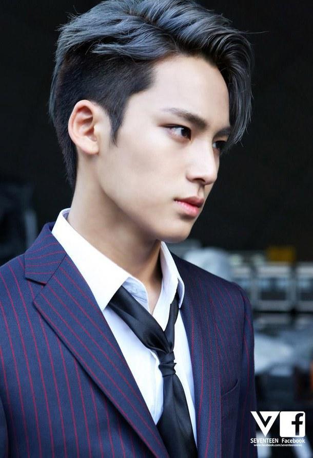 Mingyu Mingyu