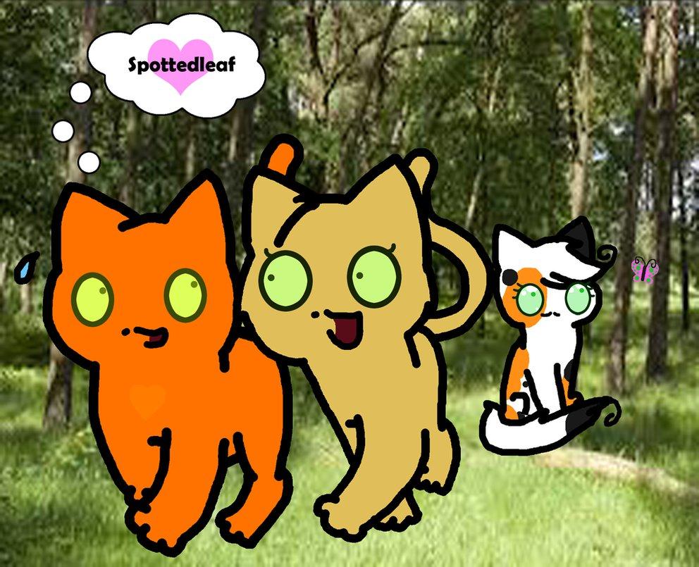 NO! Firestar and Sandstorm Forever! NO! Firestar and Sandstorm Forever!