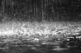 Rain Rain