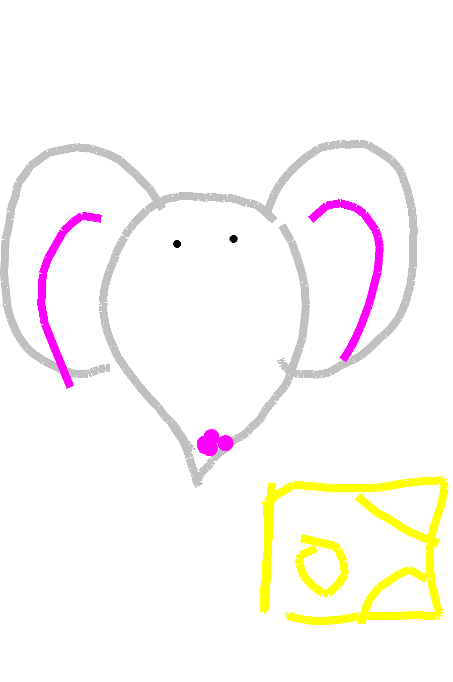 mouse mouse