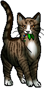 Leafpool :) Leafpool :)