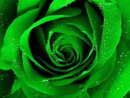 Green Green