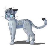 Jayfeather! he's soo adorable with his stick and he rocks! just cause he is blind doesn't mean he cant be awesome!