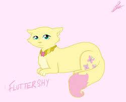Fluttershy cat form Fluttershy cat form