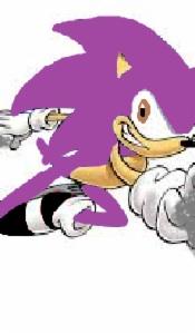 Domanic the hedgehog (drowned a baby,stalks sappire,rude,works for egghead and have lightning powers)