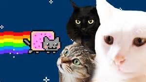 Real Cats Cover- Nyan cat