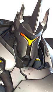 ReinHardt ReinHardt