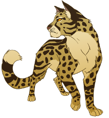 Leopardstar