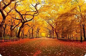 Autumn Autumn
