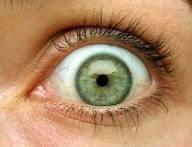 Green Green