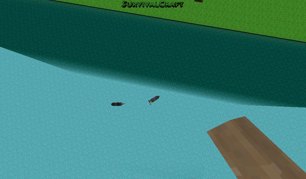 Fish (any type) Fish (any type)