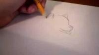 How do draw a husky puppy