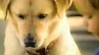 How To Eat An Oreo - OREO COMMERCIAL How To Eat An Oreo - OREO COMMERCIAL