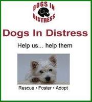 Dogs in Distress | Facebook