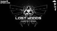 Lost Woods Dubstep Remix - Ephixa (Download at www.ephixa.com Zelda Step)