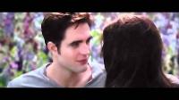 A Thousand Years Part 2 Extended Montage - Christina Perri ft. Steve Kazee