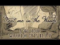 Meet me in the Woods - [COMPLETE 48 hour Warrior Cats M.A.P]