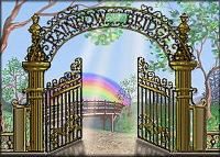 The Rainbow Bridge Poem - The beautiful journey of a pet after death.