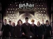 What do the Harry Potter Characters think of you? What do the Harry Potter Characters think of you?