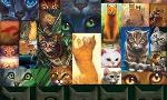 What warrior cat rank are you? (1)