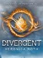 Do you know everything about Divergent
