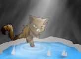 What Tribe position are you in? (Warrior Cats)