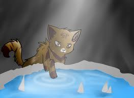 What Tribe position are you in? (Warrior Cats) What Tribe position are you in? (Warrior Cats)