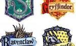 What Harry Potter house are you in? (1)