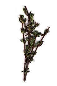 Warriors herb quiz! Warriors herb quiz!