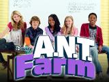 what Ant Farm character are you ?
