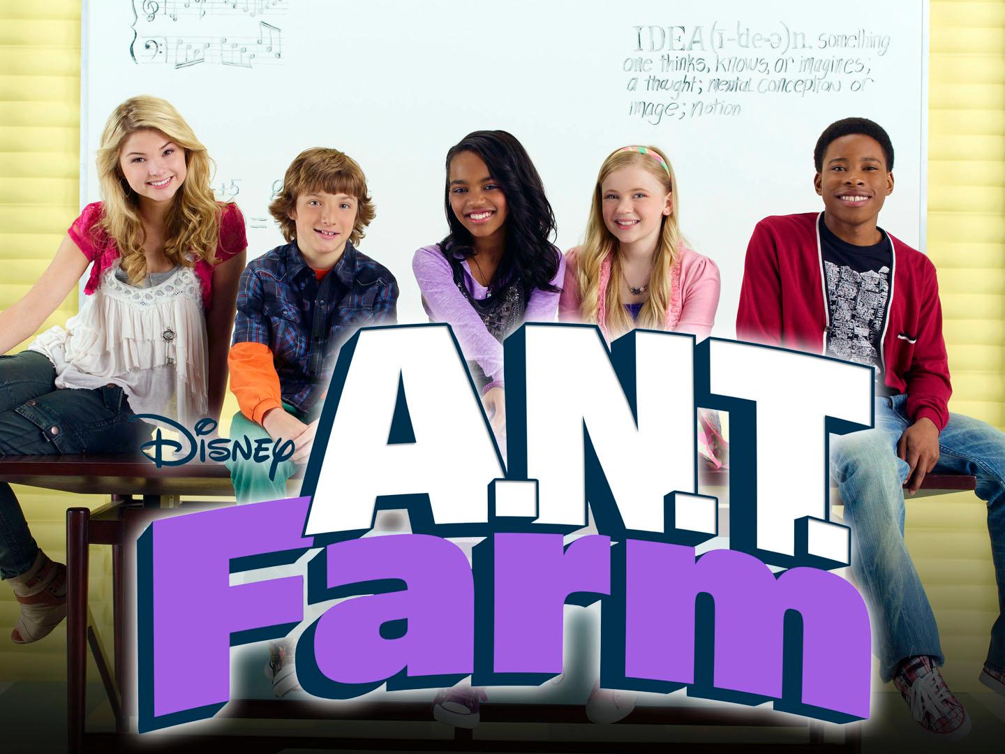 what Ant Farm character are you ? what Ant Farm character are you ?