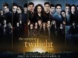Do you know the twilight series?