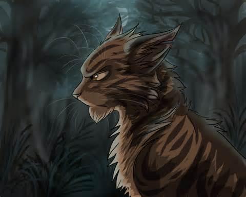 Guess that Warrior Cat!