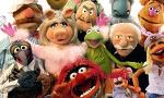 WHO ARE YOU FROM THE MUPPETS?