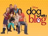 Which Character are you from Dog with a Blog?