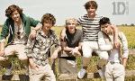 Do you know One Direction