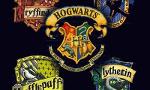 Your Hogwarts Life! (1)